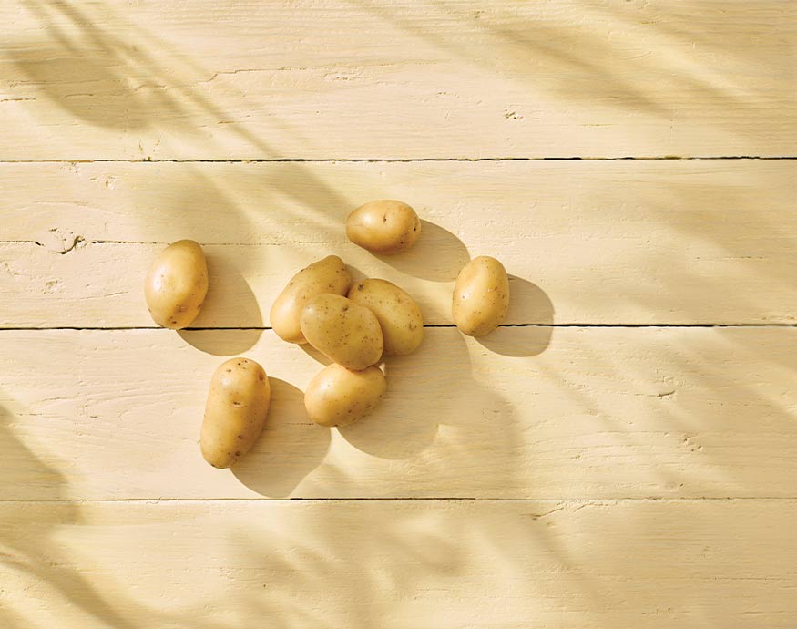 Baby Gold | Kriel Aardappelen | Jac van den Oord Potatoes