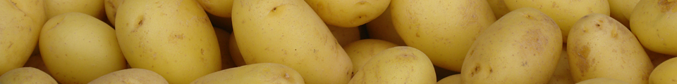 Jac van den Oord levert u nieuwe oogst Israëlische aardappelen